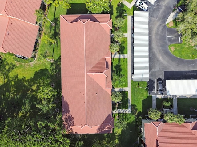 1801 E Lake Rd Unit 3A, Palm Harbor, FL 34685 - photo 56
