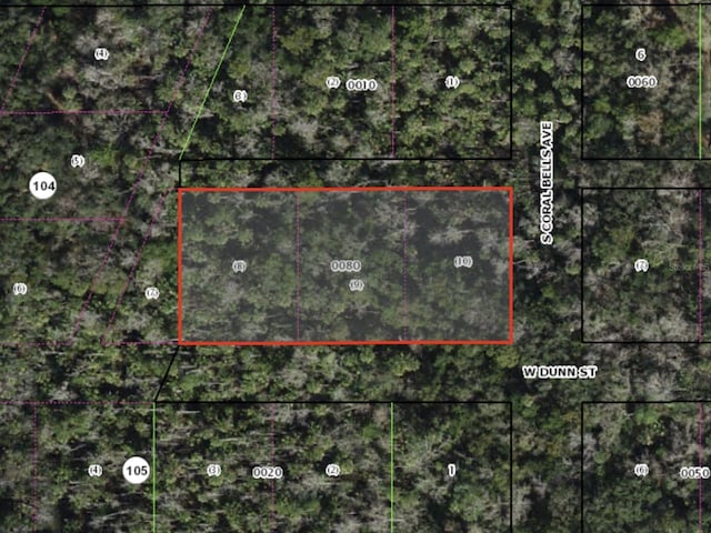 W Dunn, Homosassa FL, 34448 land for sale