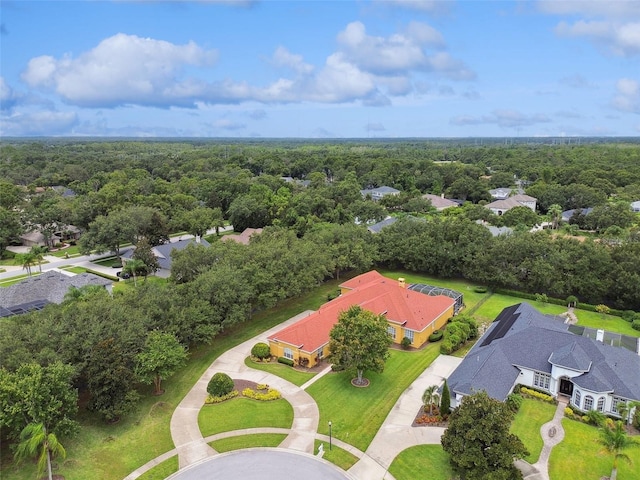 5517 Keeler Oak St, Lithia, FL 33547 - photo 81