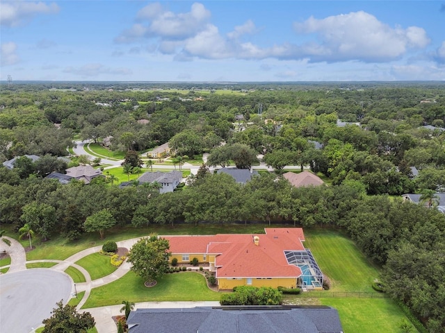 5517 Keeler Oak St, Lithia, FL 33547 - photo 85