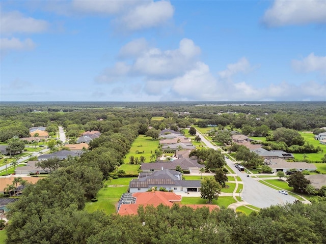 5517 Keeler Oak St, Lithia, FL 33547 - photo 86