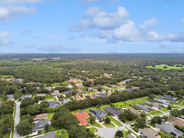 5517 Keeler Oak St, Lithia, FL 33547 - photo 87