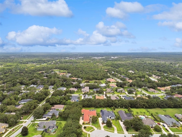 5517 Keeler Oak St, Lithia, FL 33547 - photo 88