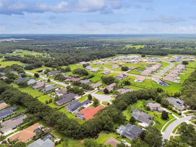 5517 Keeler Oak St, Lithia, FL 33547 - photo 89