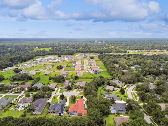 5517 Keeler Oak St, Lithia, FL 33547 - photo 90