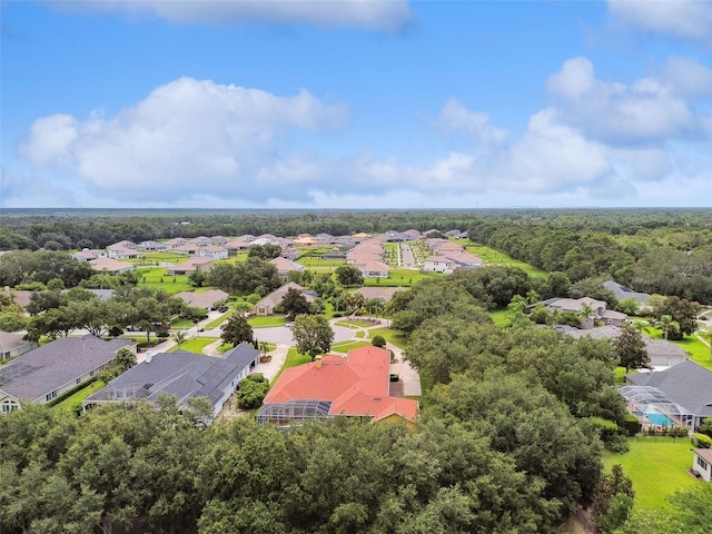 5517 Keeler Oak St, Lithia, FL 33547 - photo 91