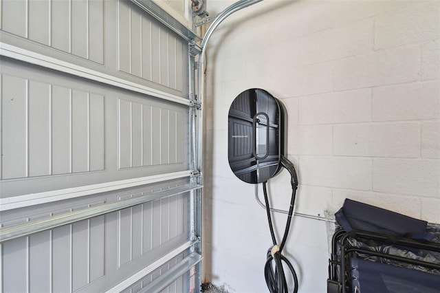 8421 Ivy Stark Blvd, Wesley Chapel, FL 33545 - garage view