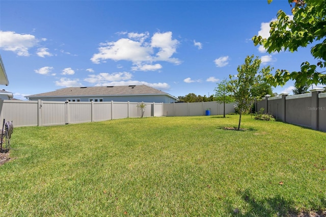 8421 Ivy Stark Blvd, Wesley Chapel, FL 33545 - view of yard