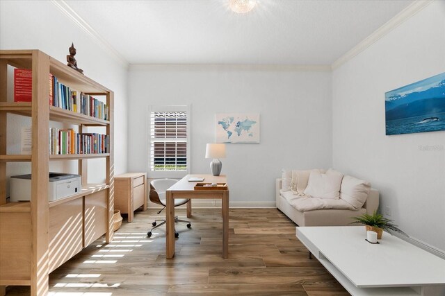 1416 Via Verdi Dr, Palm Harbor, FL 34683 - office space with crown molding and light wood-type flooring