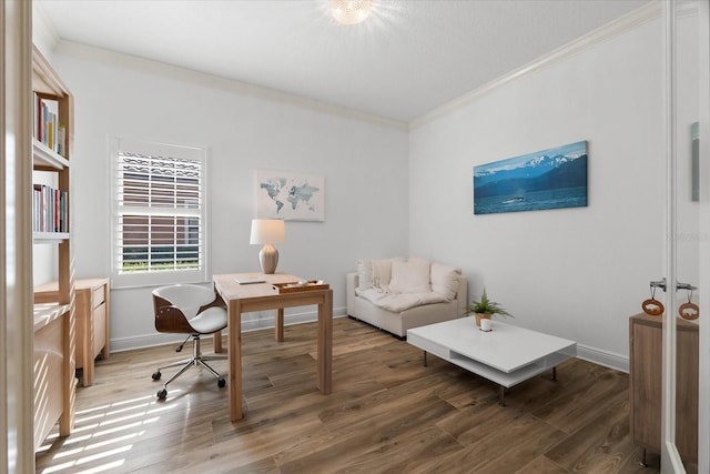 1416 Via Verdi Dr, Palm Harbor, FL 34683 - office space with crown molding and wood finished floors