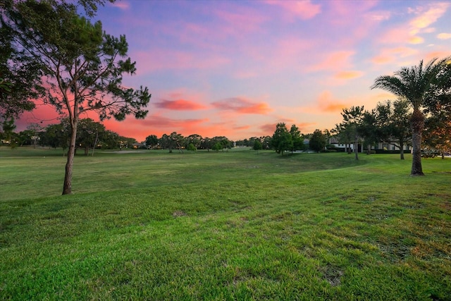 1416 Via Verdi Dr, Palm Harbor, FL 34683 - yard at dusk featuring a yard