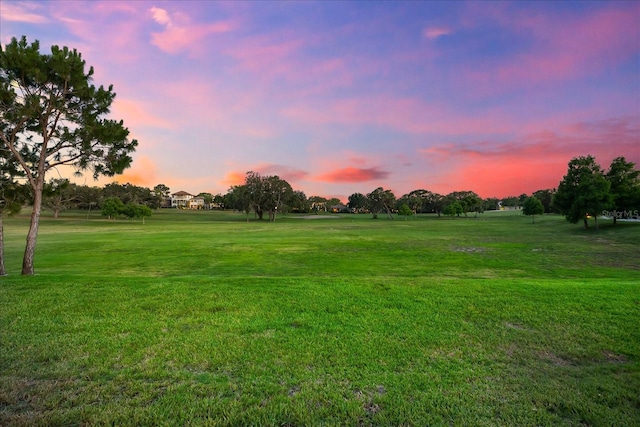 1416 Via Verdi Dr, Palm Harbor, FL 34683 - view of grassy yard featuring view of golf course