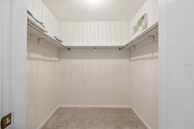 603 Royal Crest Dr, Brandon, FL 33511 - walk in closet with light colored carpet