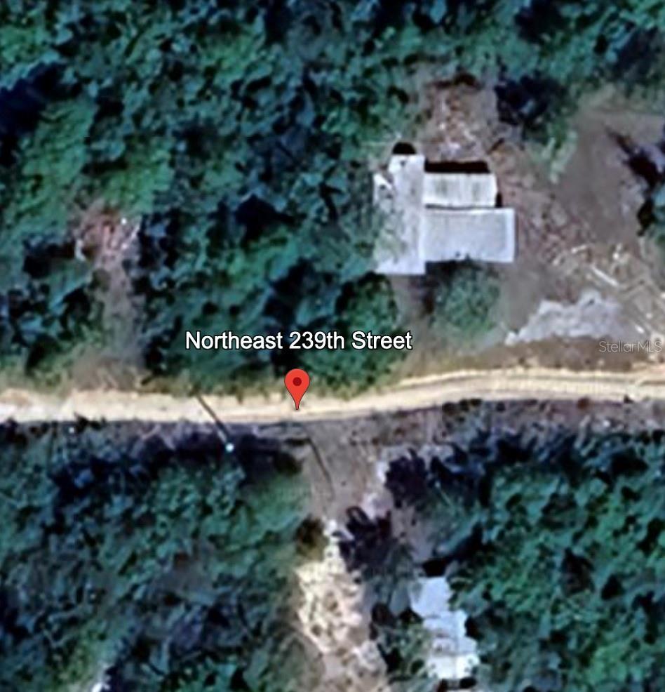 LOT9239TH NE 239th St, Fort Mc Coy, FL 32134 - photo 1