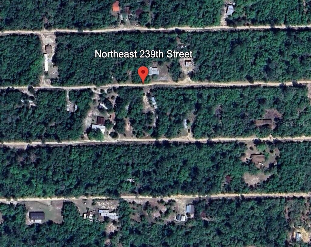 LOT9239TH NE 239th St, Fort Mc Coy, FL 32134 - photo 2