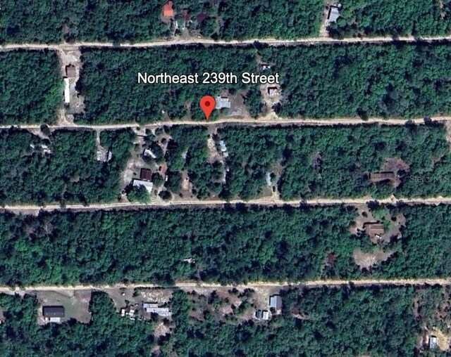 LOT9239TH NE 239th St, Fort Mc Coy, FL 32134 - photo 2