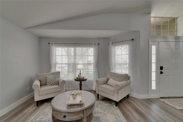 10449 Hunters Haven Blvd, Riverview, FL 33578 - foyer featuring wood finished floors, baseboards, and lofted ceiling