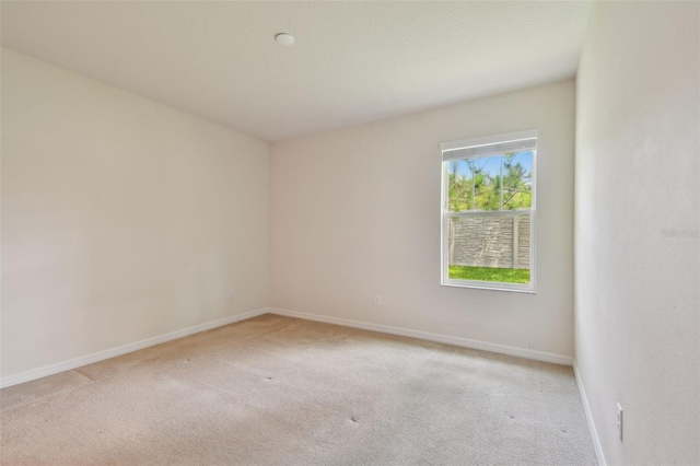 1929 Marlington Way, Clearwater, FL 33763 - photo 19