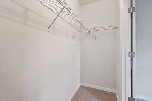 1929 Marlington Way, Clearwater, FL 33763 - photo 21