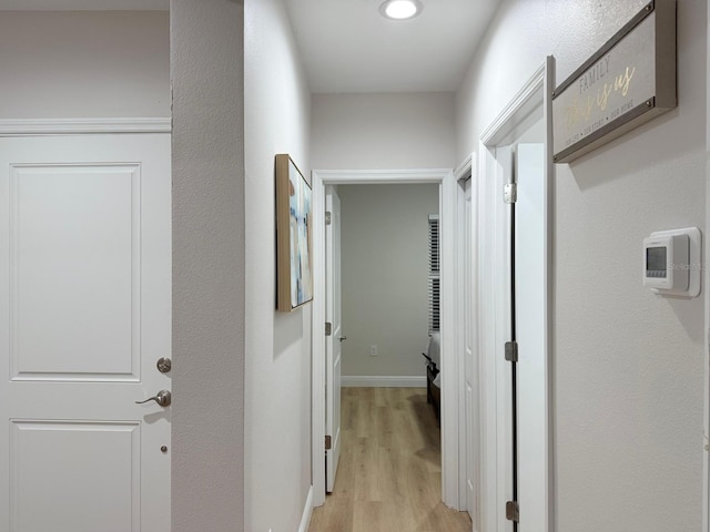 17099 Carleen Ave, Port Charlotte, FL 33948 - hallway with light wood-style flooring and baseboards