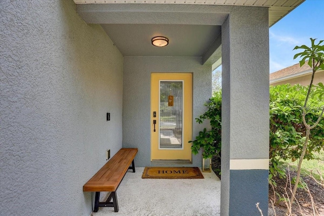 11121 Running Pine Dr, Riverview, FL 33569 - property entrance with stucco siding