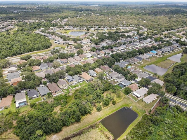 11121 Running Pine Dr, Riverview, FL 33569 - view of property location featuring a nearby body of water and nearby suburban area