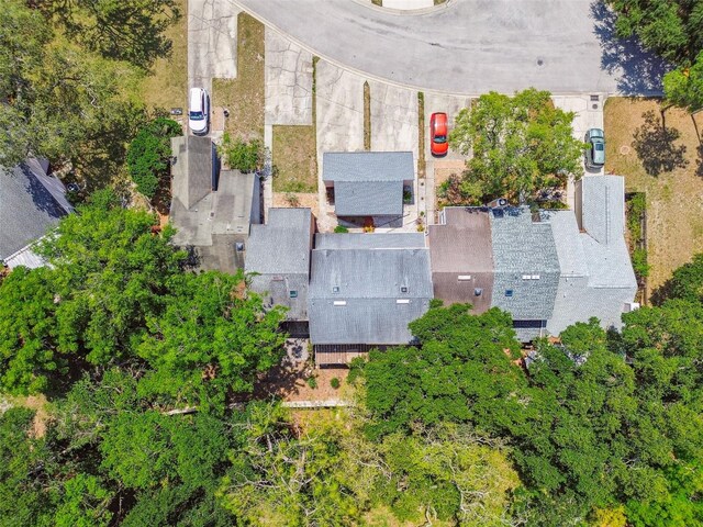 9473 N Forest Hills Pl, Tampa, FL 33612 - photo 39