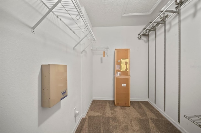 spacious closet with carpet floors