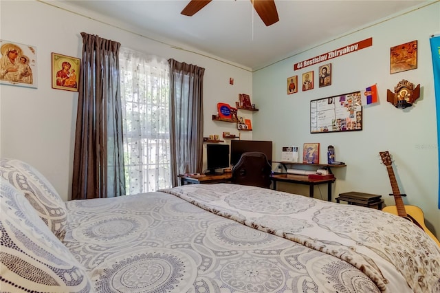 2721 Baird Ct, Palm Harbor, FL 34684 - bedroom with ceiling fan