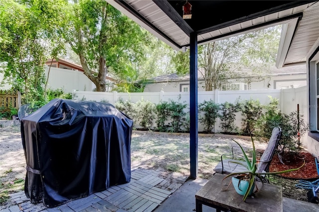 2721 Baird Ct, Palm Harbor, FL 34684 - view of patio / terrace featuring area for grilling and a fenced backyard