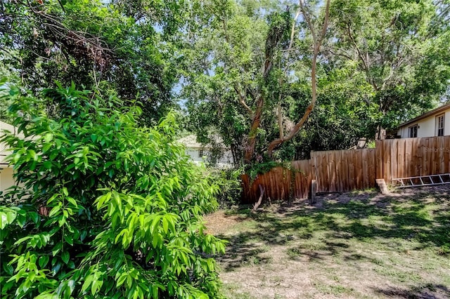 2721 Baird Ct, Palm Harbor, FL 34684 - view of yard featuring fence