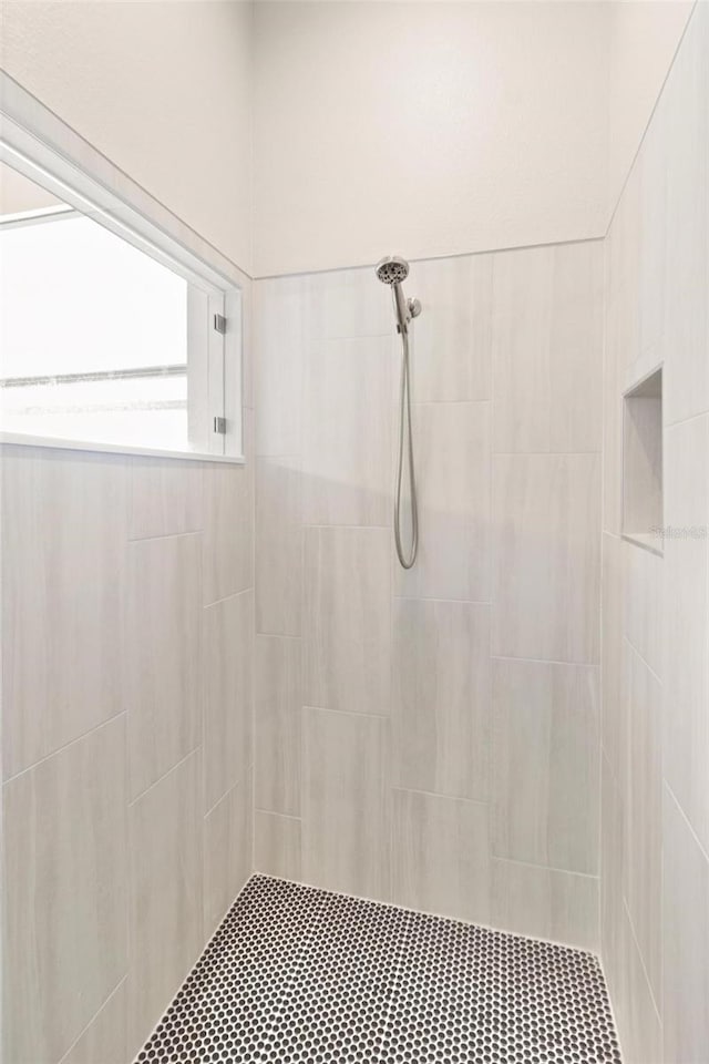 3023 Minuteman Ln, Brandon, FL 33511 - full bathroom featuring a tile shower