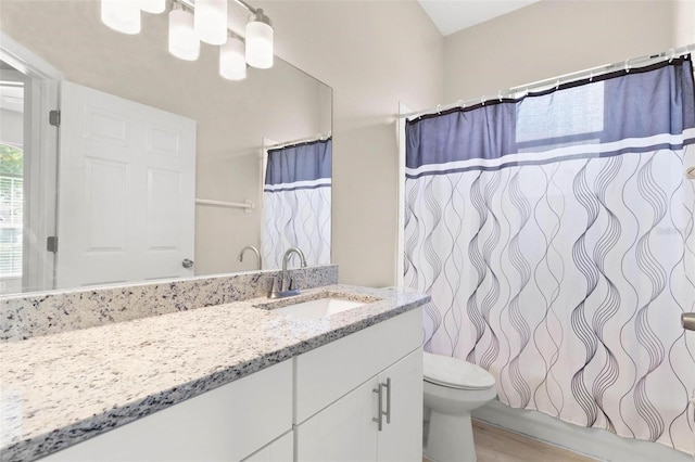 3023 Minuteman Ln, Brandon, FL 33511 - bathroom featuring toilet, vanity, wood finished floors, and curtained shower