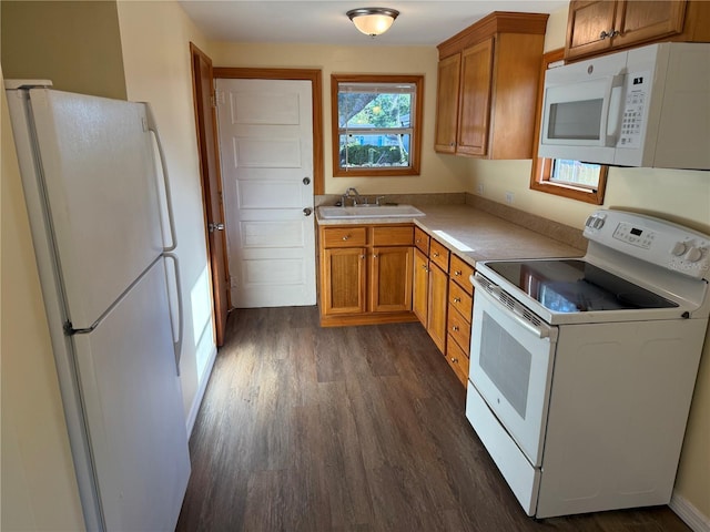 3762 18th Ter S, Saint Petersburg, FL 33711 - kitchen with white appliances, a sink, dark wood-style floors, brown cabinets, and light countertops