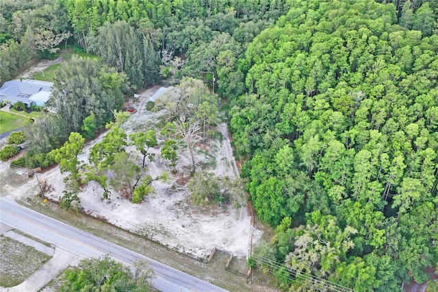 8828 Jasmine Blvd, Port Richey, FL 34668 - view of property location with a heavily wooded area