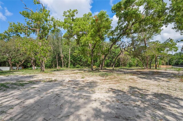 8828 Jasmine Blvd, Port Richey, FL 34668 - view of yard