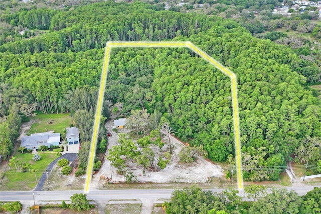 8828 Jasmine Blvd, Port Richey, FL 34668 - view of property location featuring property boundaries highlighted and a forest