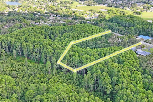 8828 Jasmine Blvd, Port Richey, FL 34668 - aerial view of property's location with a heavily wooded area, property boundaries highlighted, and a large body of water