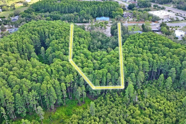 8828 Jasmine Blvd, Port Richey, FL 34668 - aerial view of property and surrounding area with property boundaries highlighted and a heavily wooded area