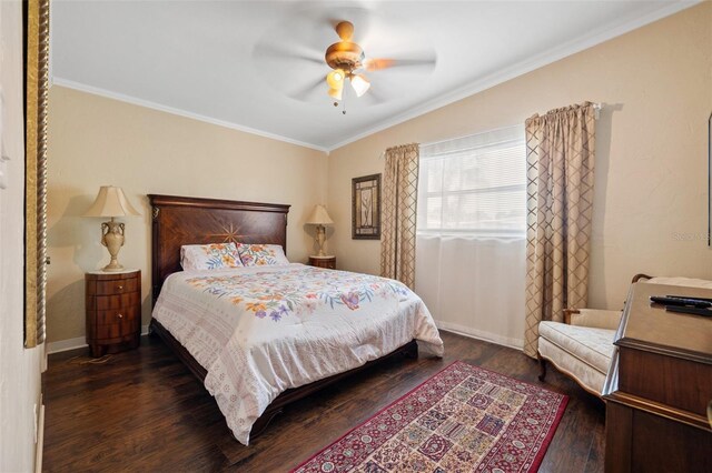 1035 58th Ave N, Saint Petersburg, FL 33703 - photo 6
