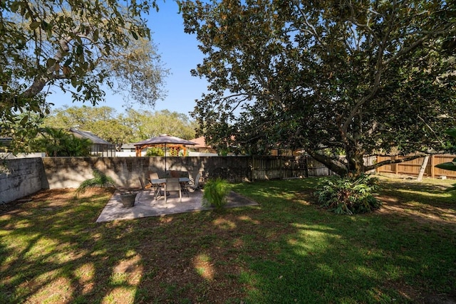1142 Lancer Ln, Tarpon Springs, FL 34689 - view of yard with a patio area