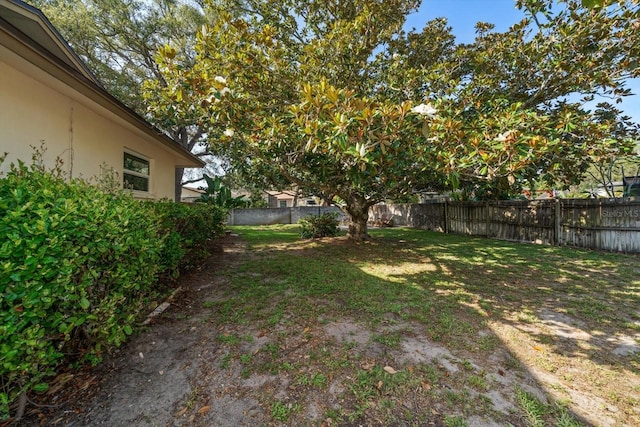 1142 Lancer Ln, Tarpon Springs, FL 34689 - view of fenced backyard