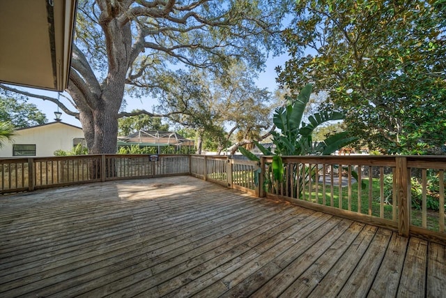 1142 Lancer Ln, Tarpon Springs, FL 34689 - view of wooden terrace