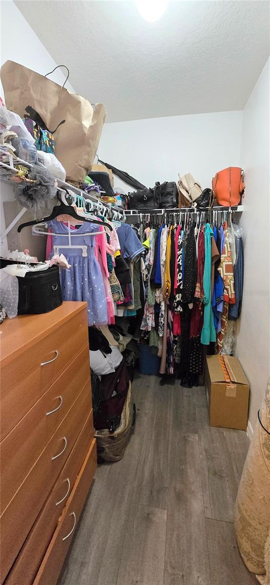 15124 Deer Meadow Dr, Lutz, FL 33559 - spacious closet featuring wood finished floors
