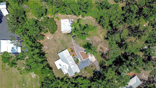 1931 Jaudon Rd, Dover, FL 33527 - photo 45