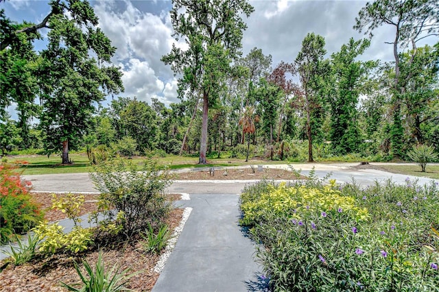 1931 Jaudon Rd, Dover, FL 33527 - photo 50