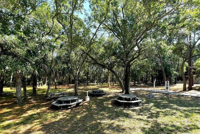 1400 Gandy Blvd N Unit 1705, Saint Petersburg, FL 33702 - view of yard