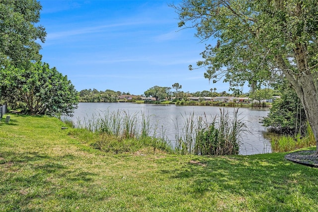 6520 Meadowbrook Ln, New Port Richey, FL 34653 - photo 2