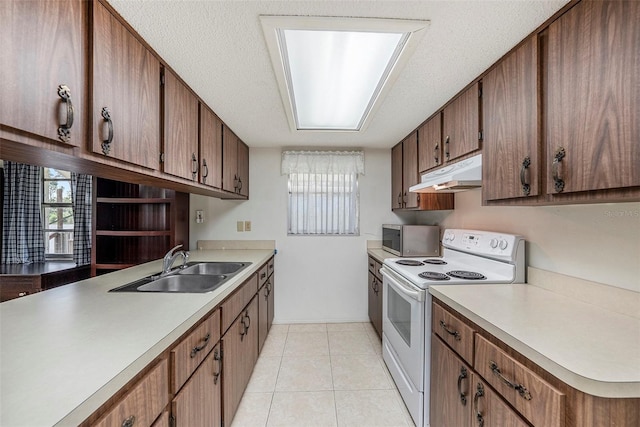 6520 Meadowbrook Ln, New Port Richey, FL 34653 - photo 8