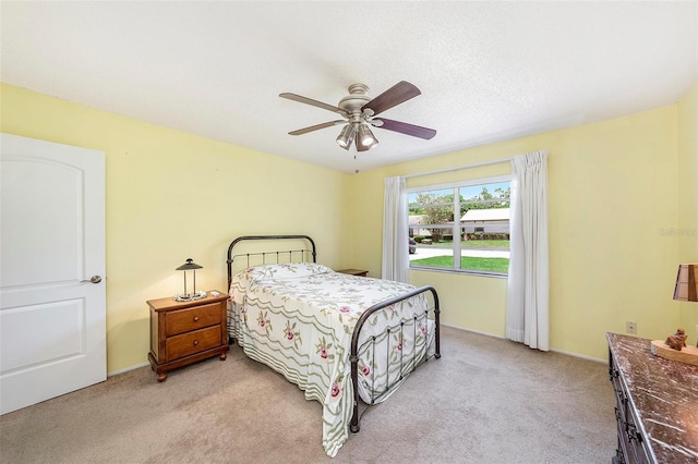 6520 Meadowbrook Ln, New Port Richey, FL 34653 - photo 13